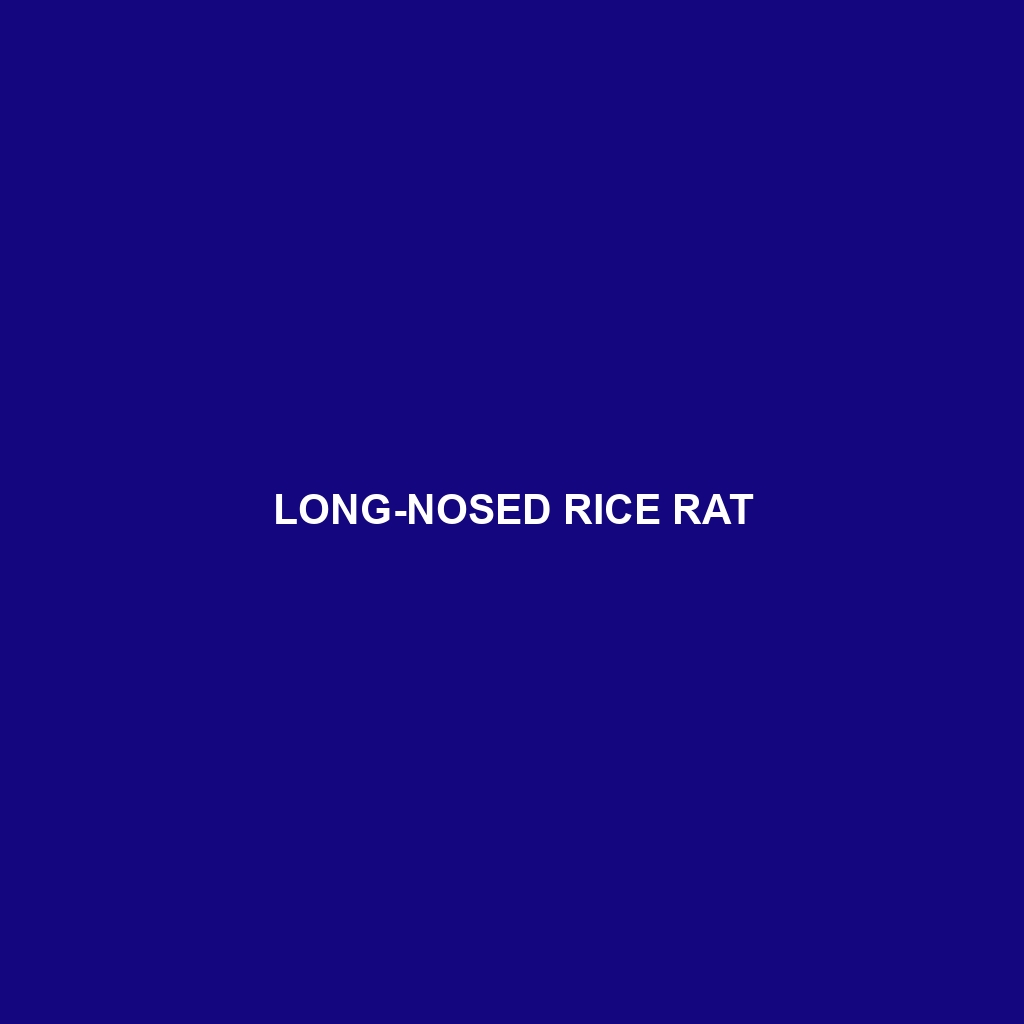 Long-nosed Rice Rat