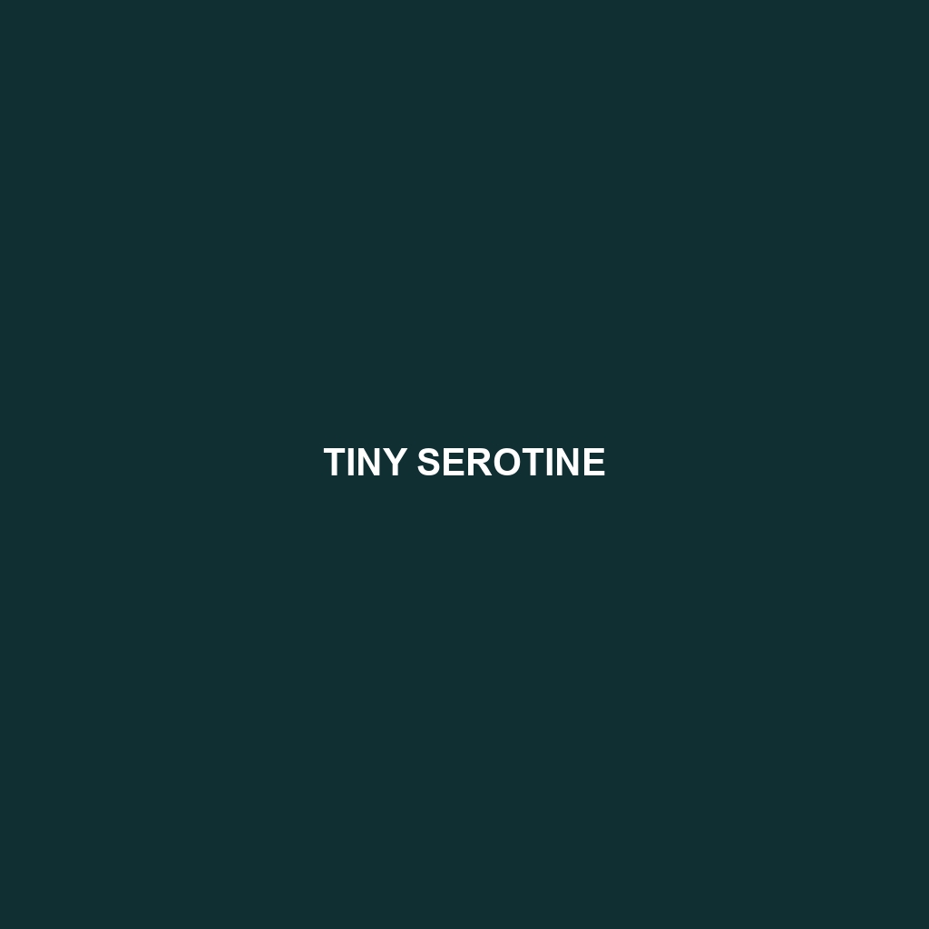 Tiny Serotine