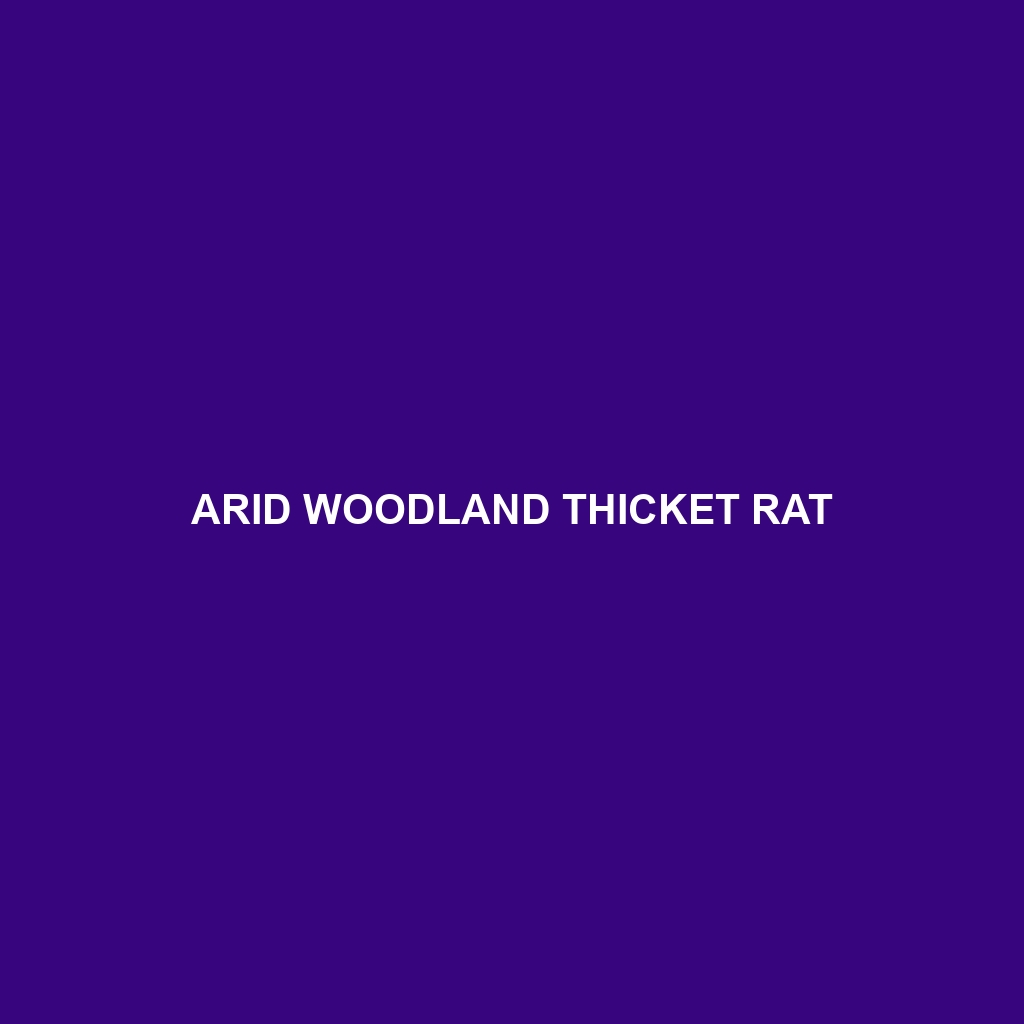 Arid Woodland Thicket Rat