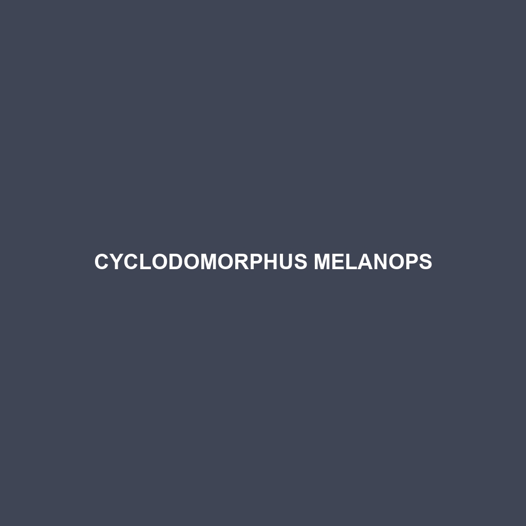 Cyclodomorphus melanops