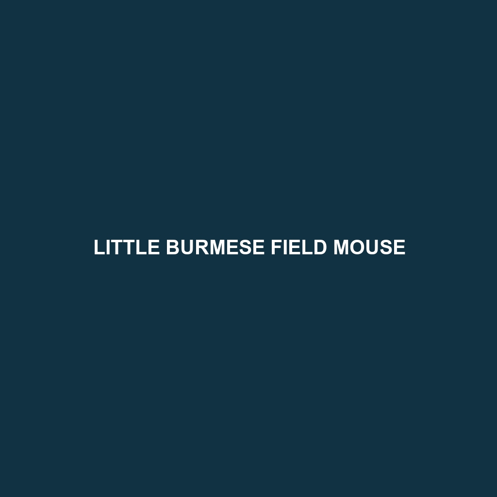 Little Burmese Field Mouse