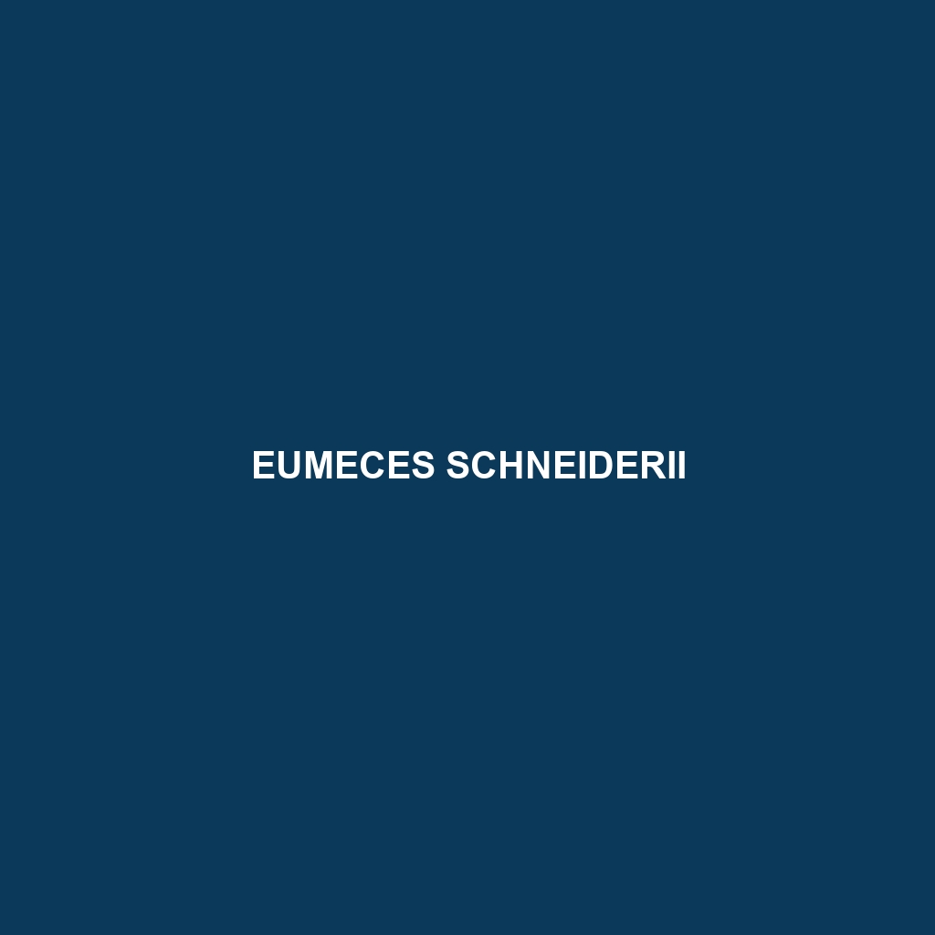 Eumeces schneiderii