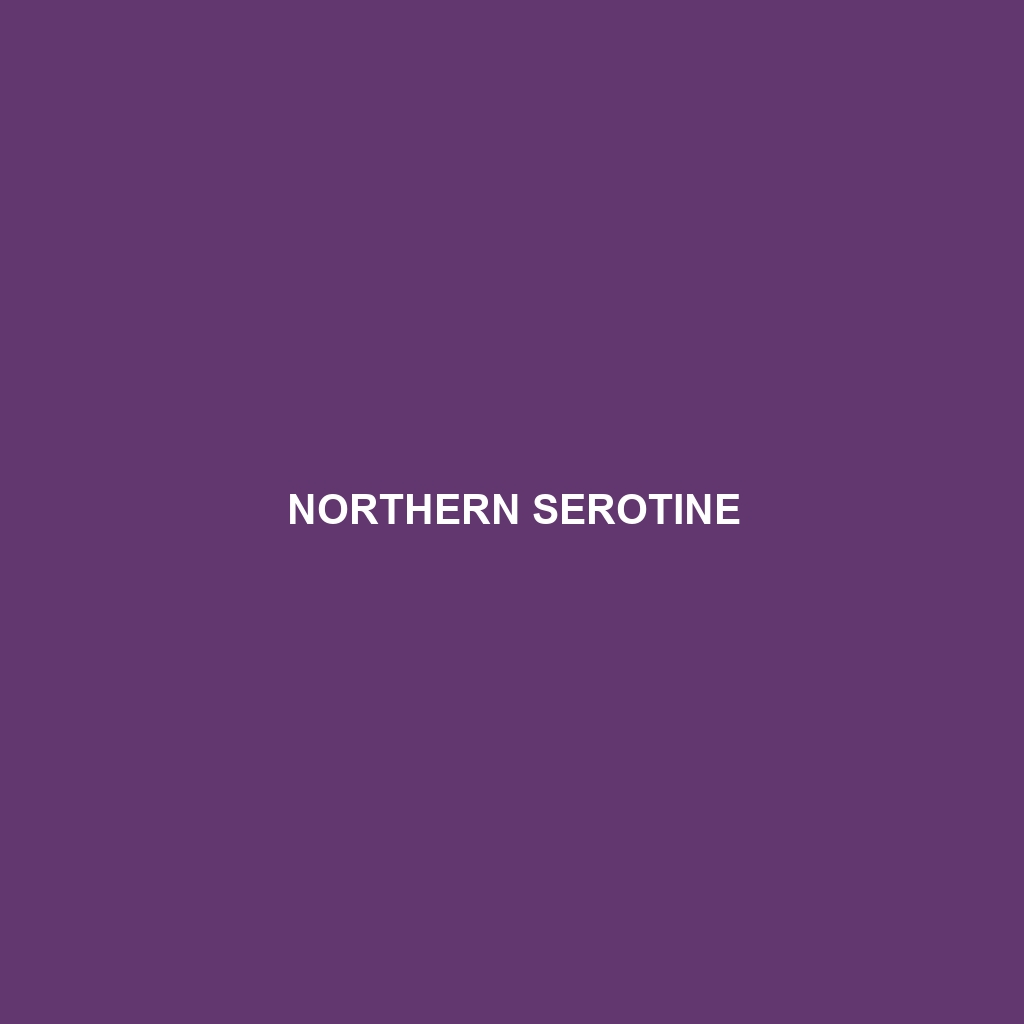 Northern Serotine