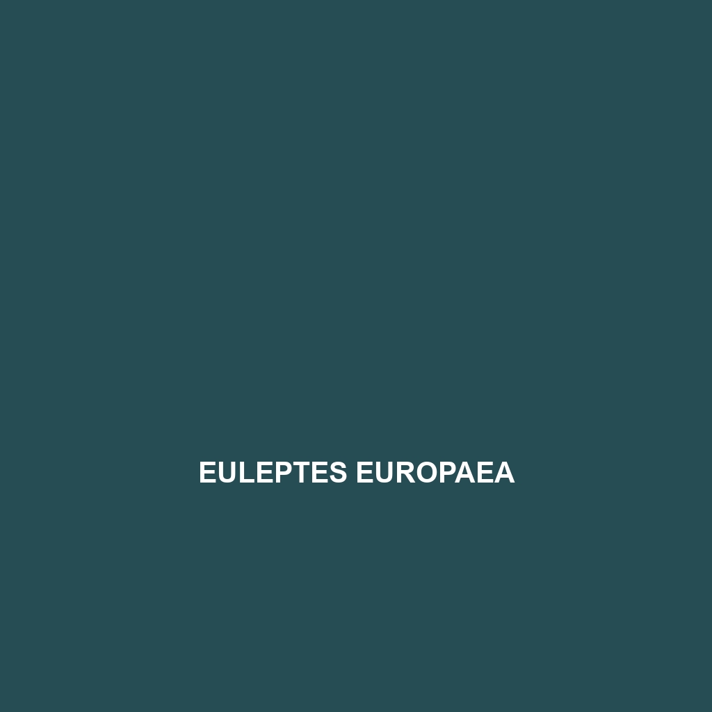 Euleptes europaea