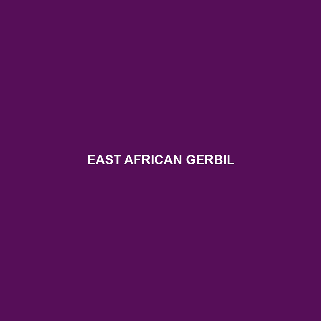 East African Gerbil