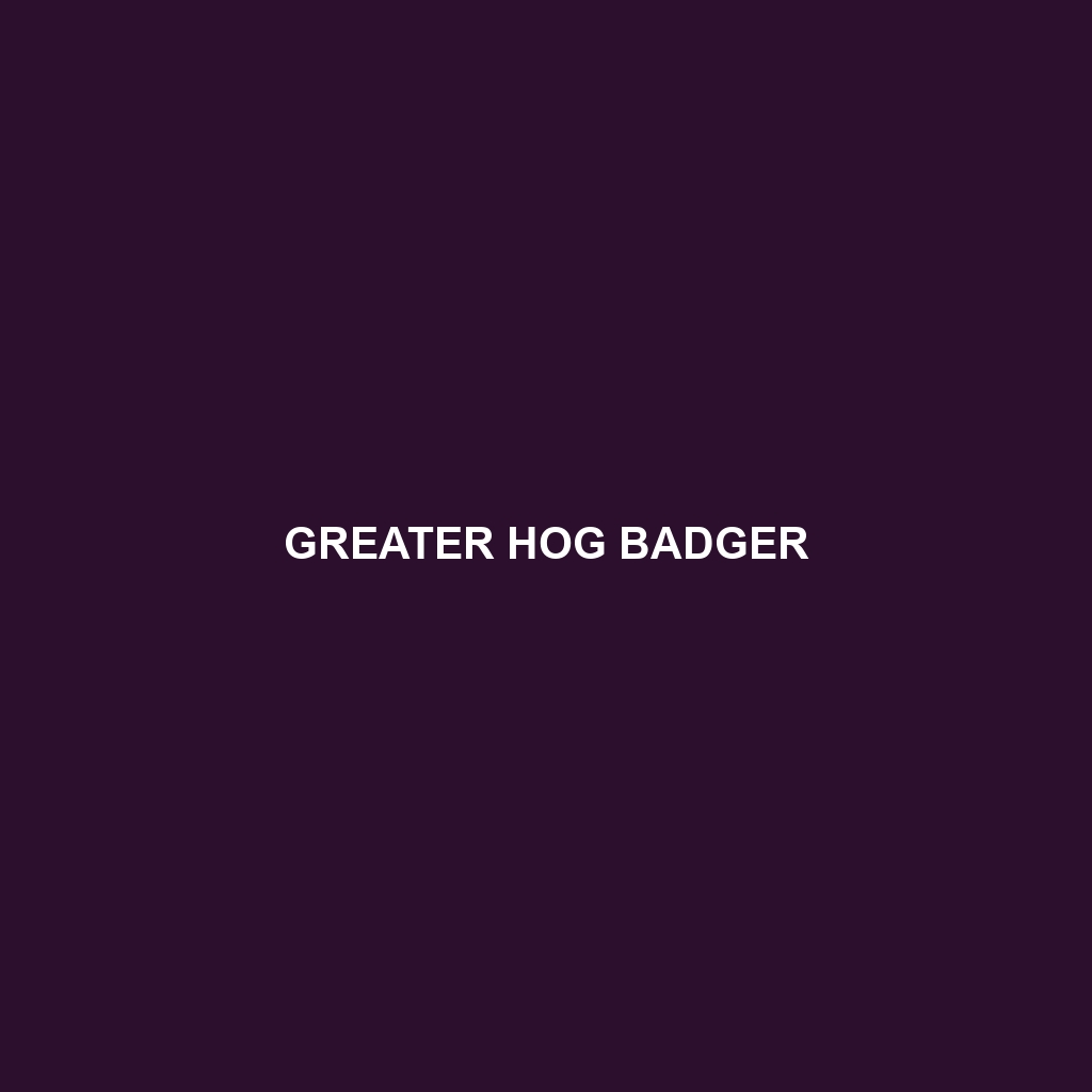 Greater Hog Badger