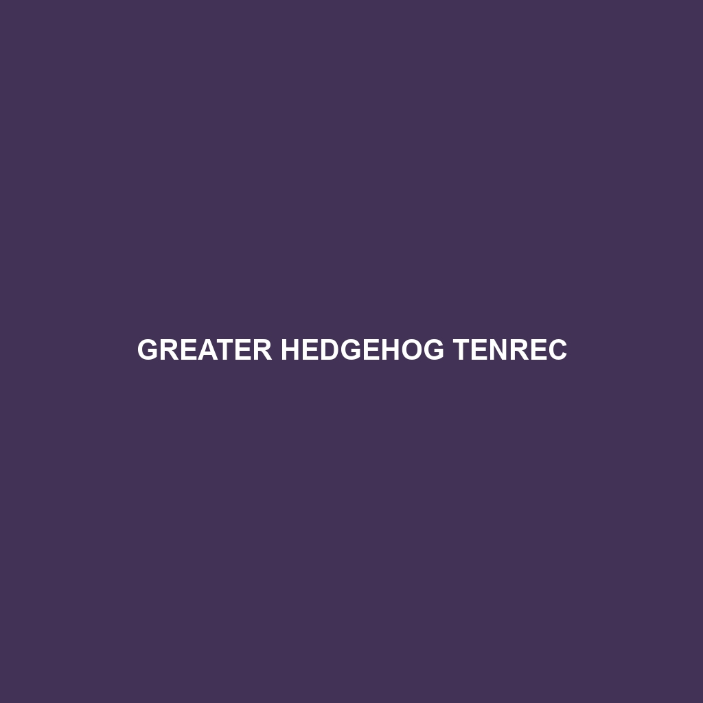 Greater Hedgehog Tenrec