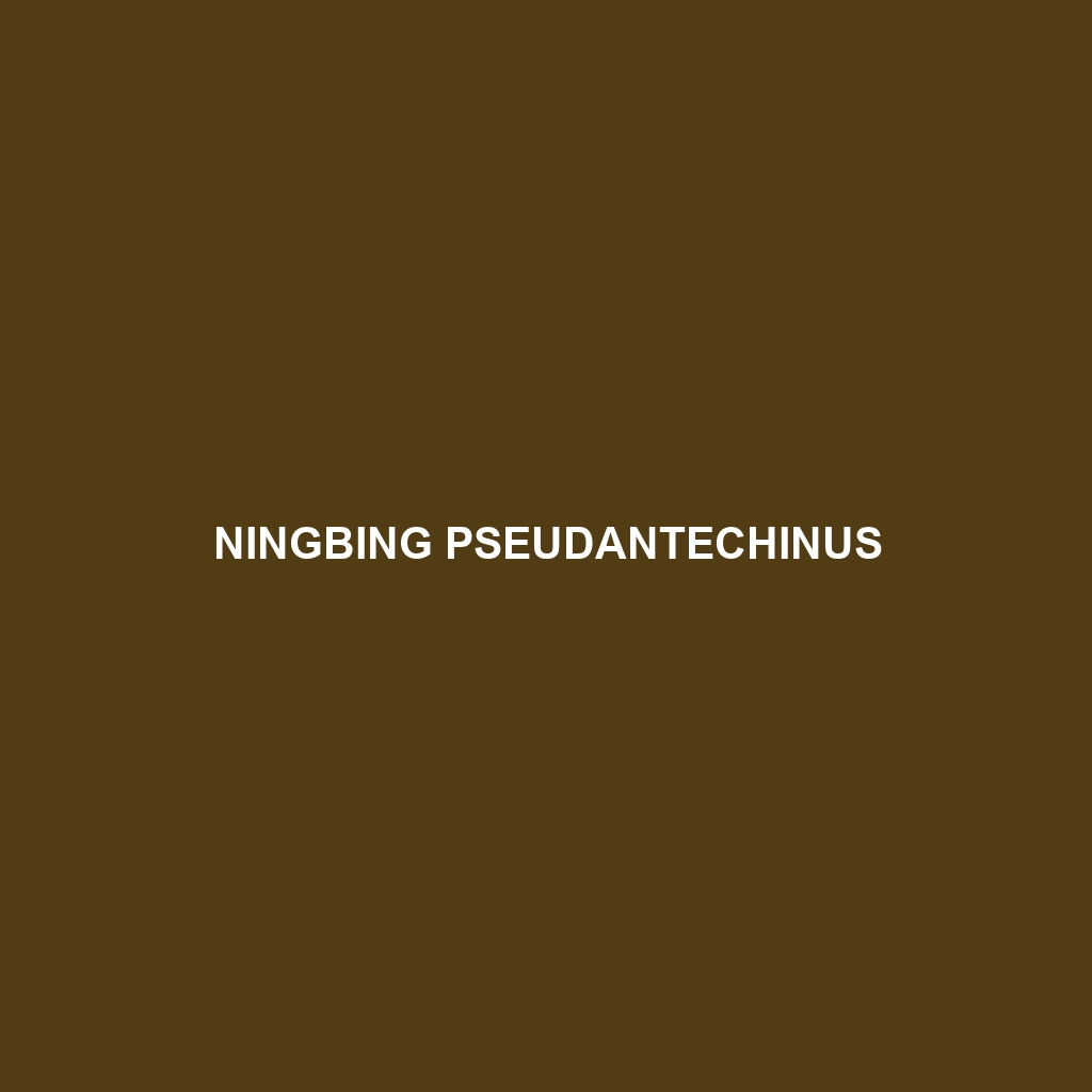 Ningbing Pseudantechinus