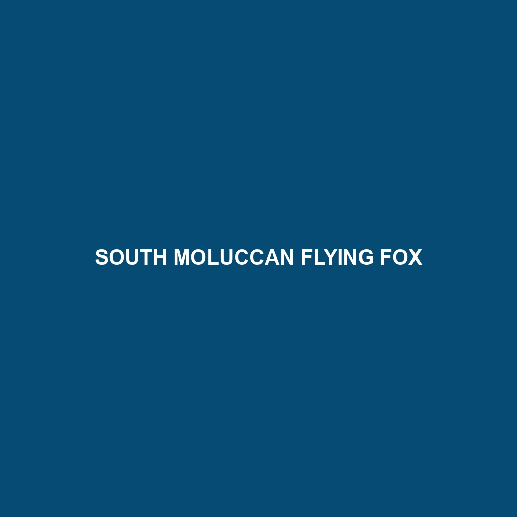 South Moluccan Flying Fox