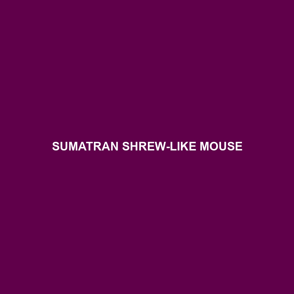 Sumatran Shrew-like Mouse