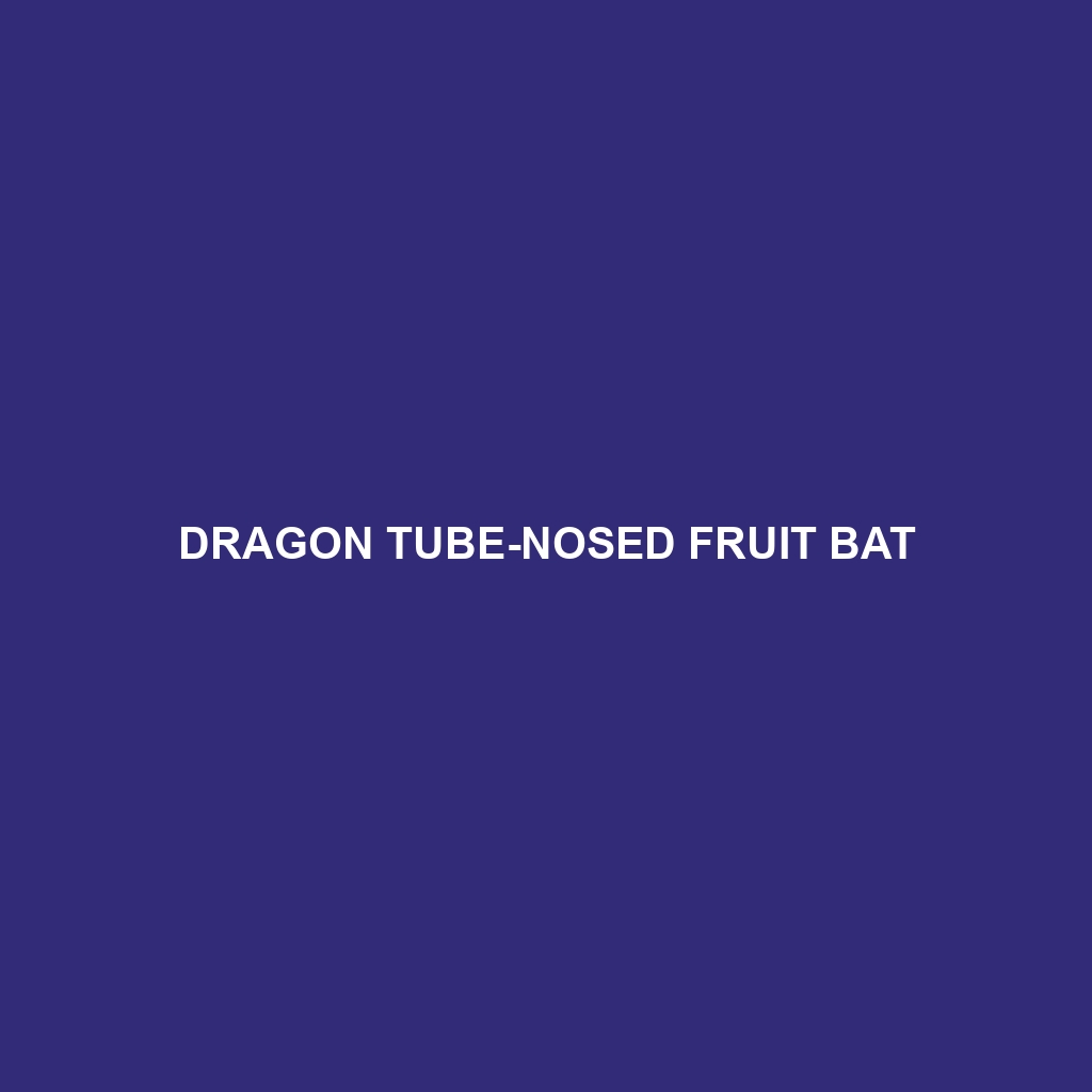 Dragon Tube-nosed Fruit Bat