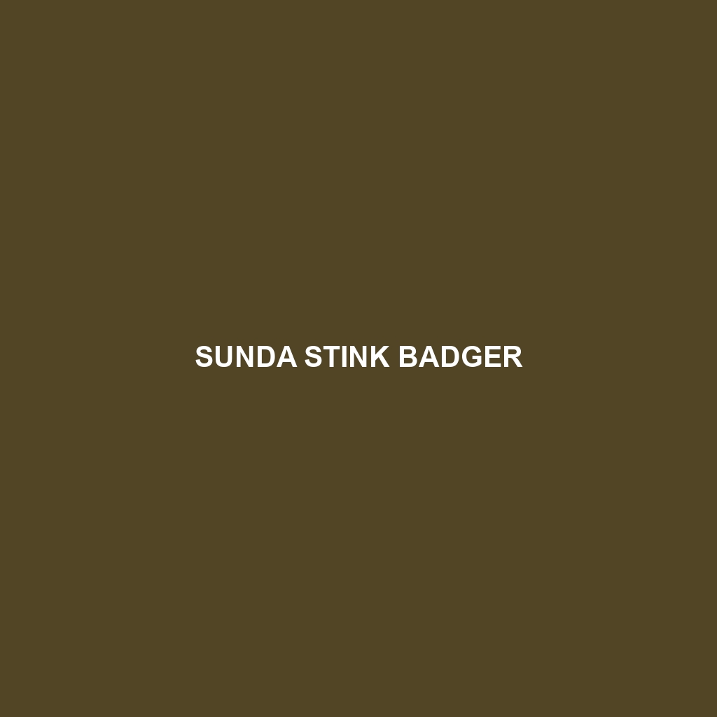 Sunda Stink Badger