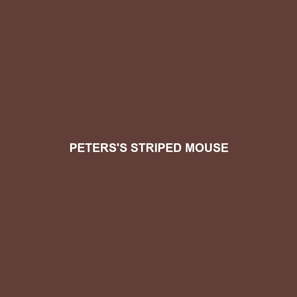 Peters's Striped Mouse