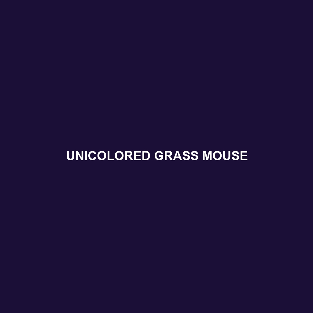 Unicolored Grass Mouse