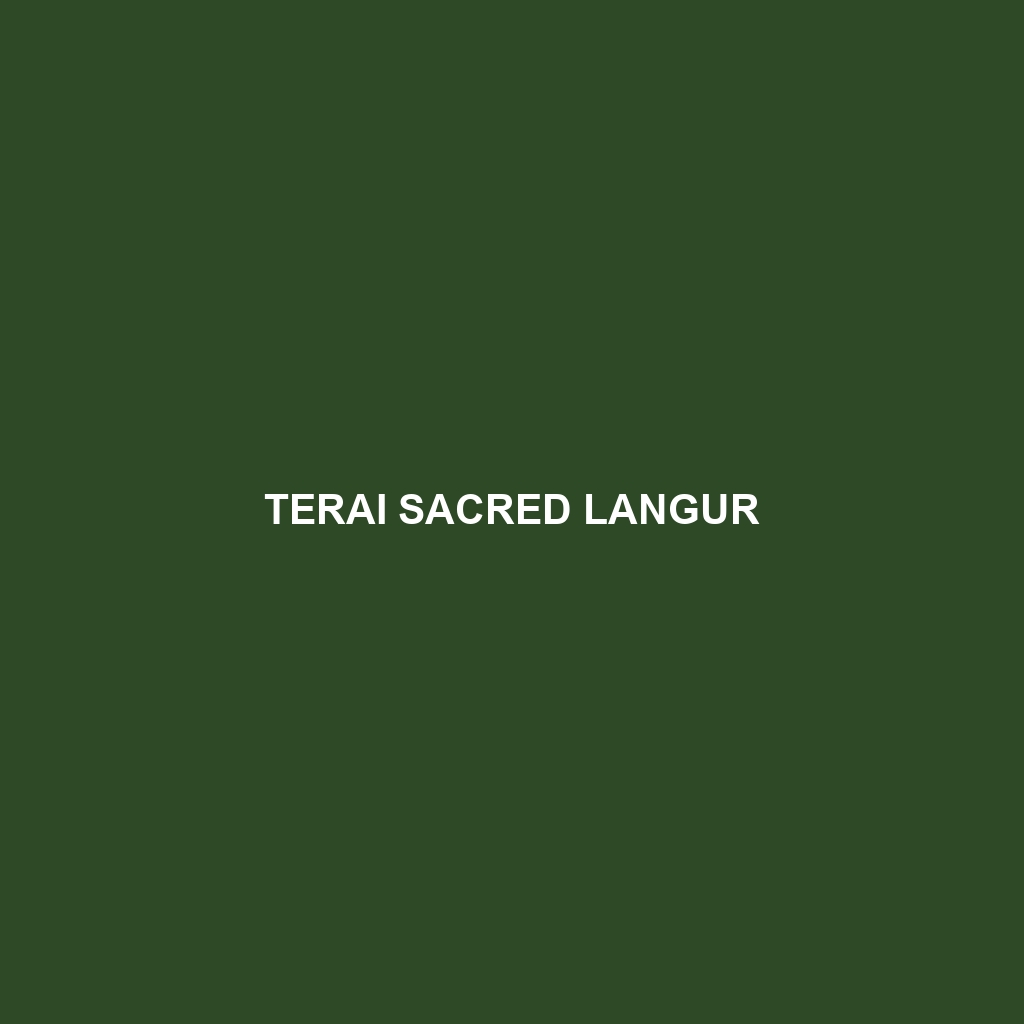 Terai Sacred Langur