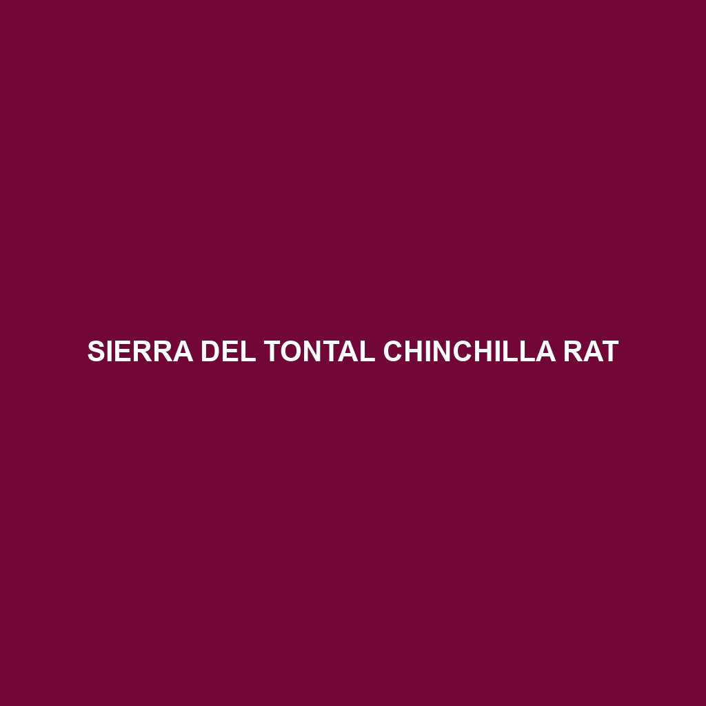 Sierra del Tontal Chinchilla Rat