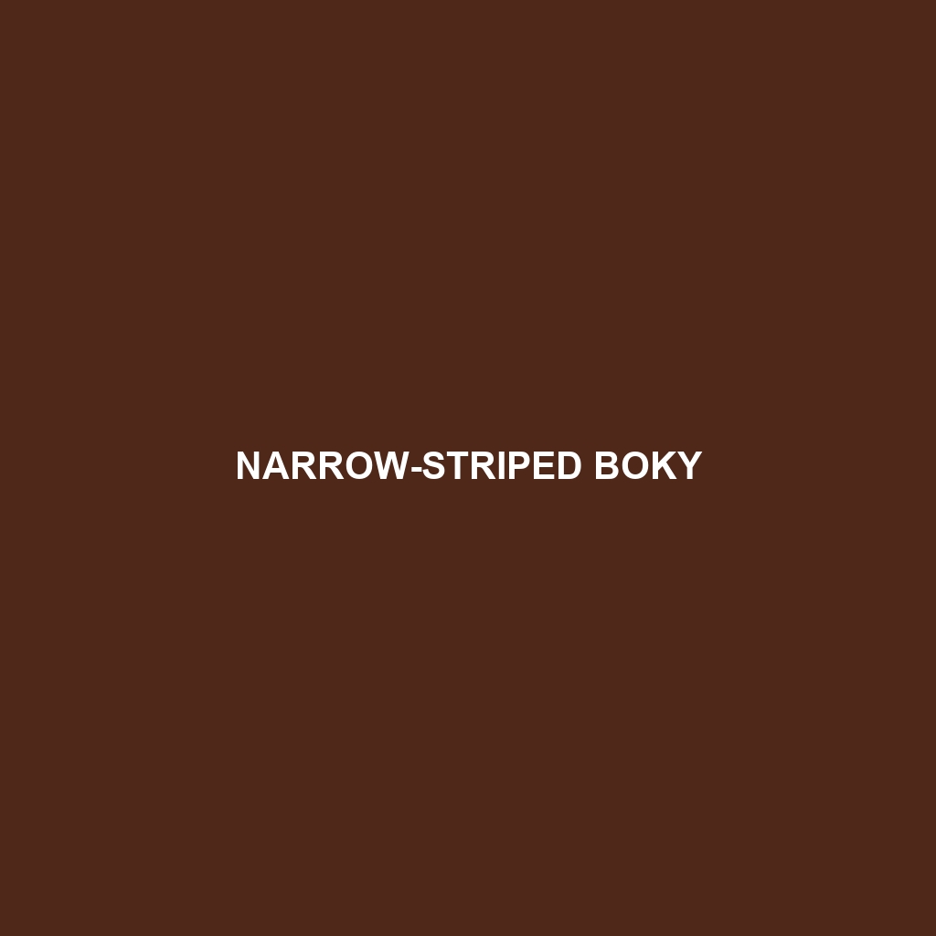 Narrow-striped Boky