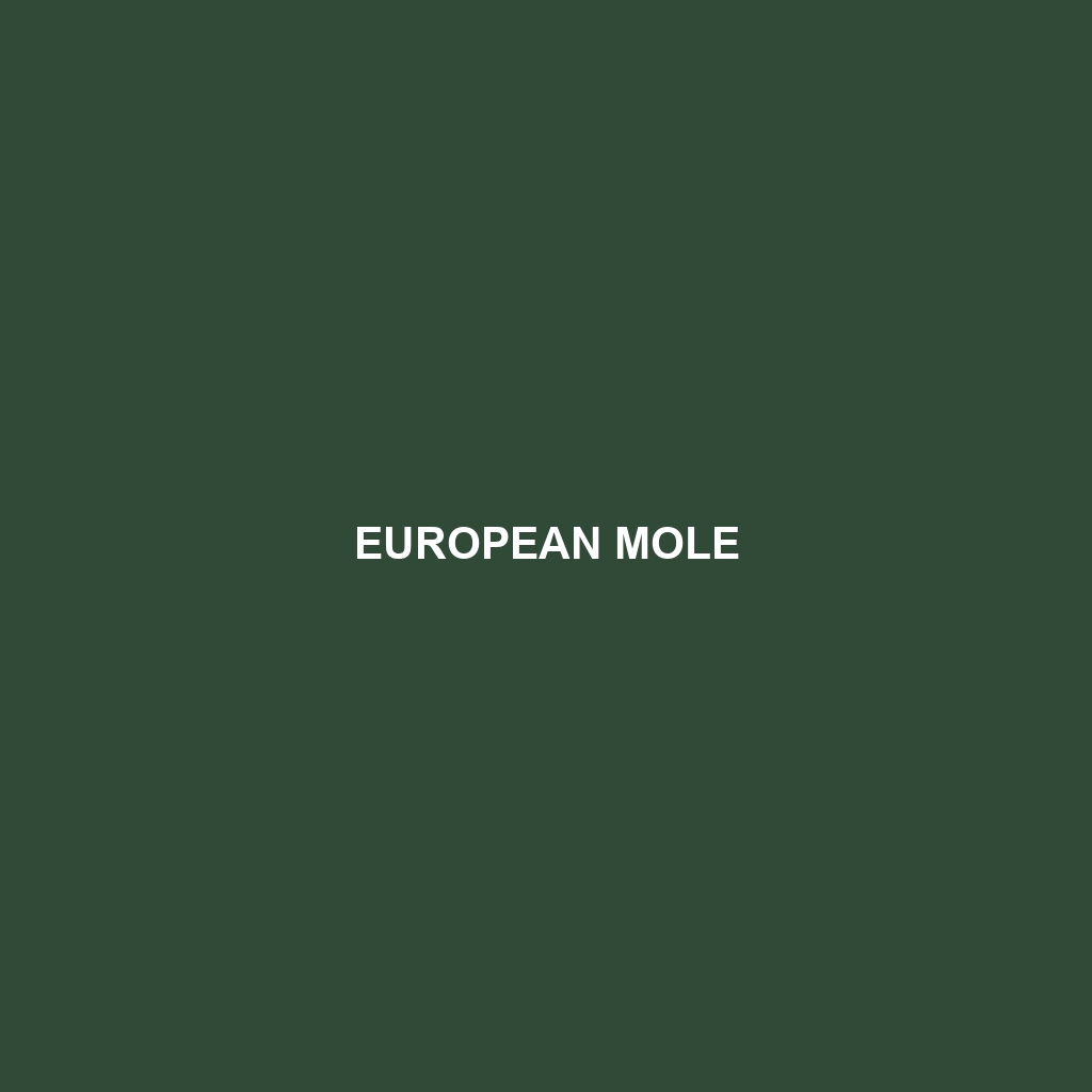 European Mole