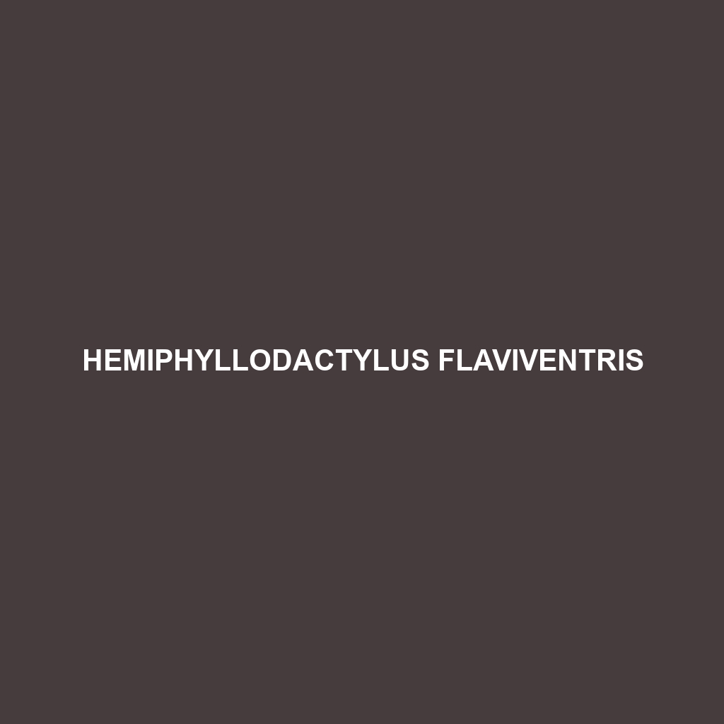 Hemiphyllodactylus flaviventris