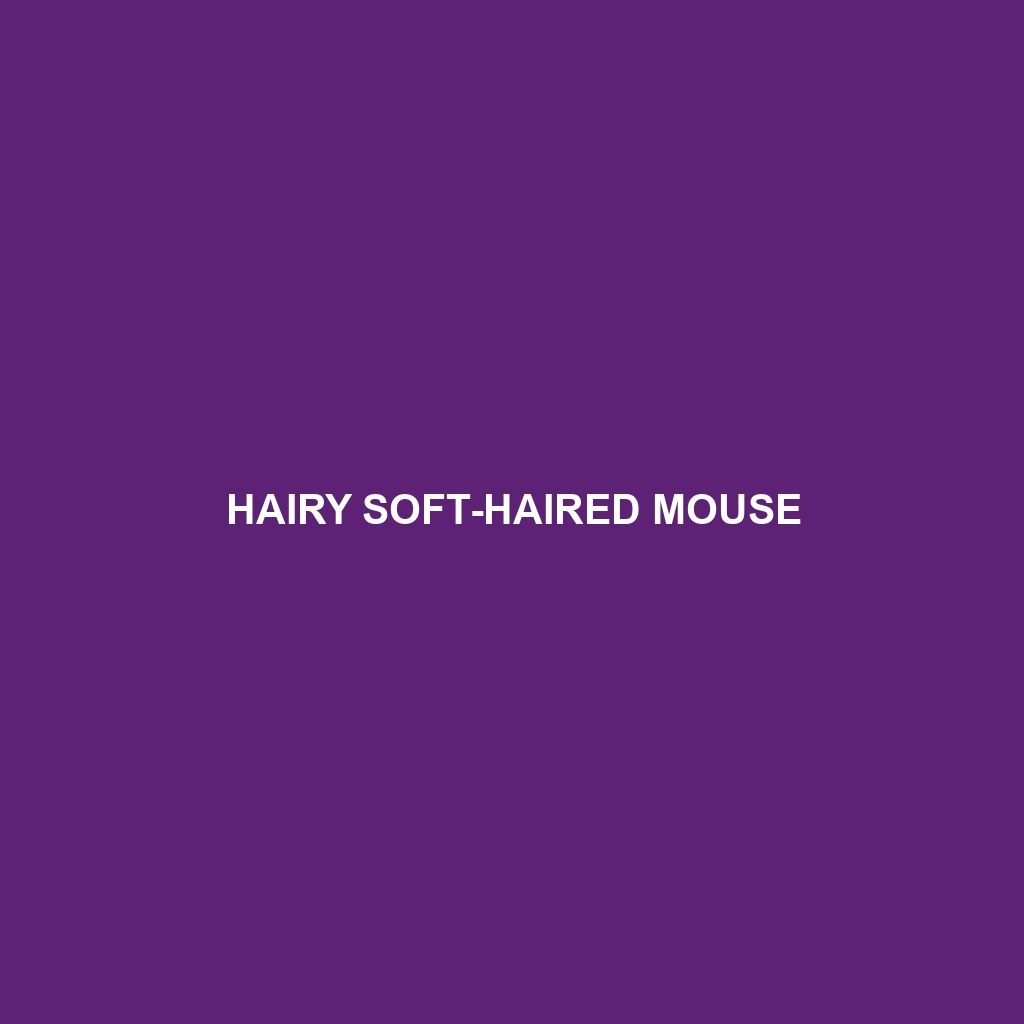 Hairy Soft-haired Mouse