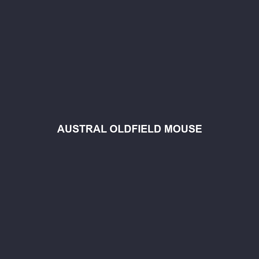 Austral Oldfield Mouse