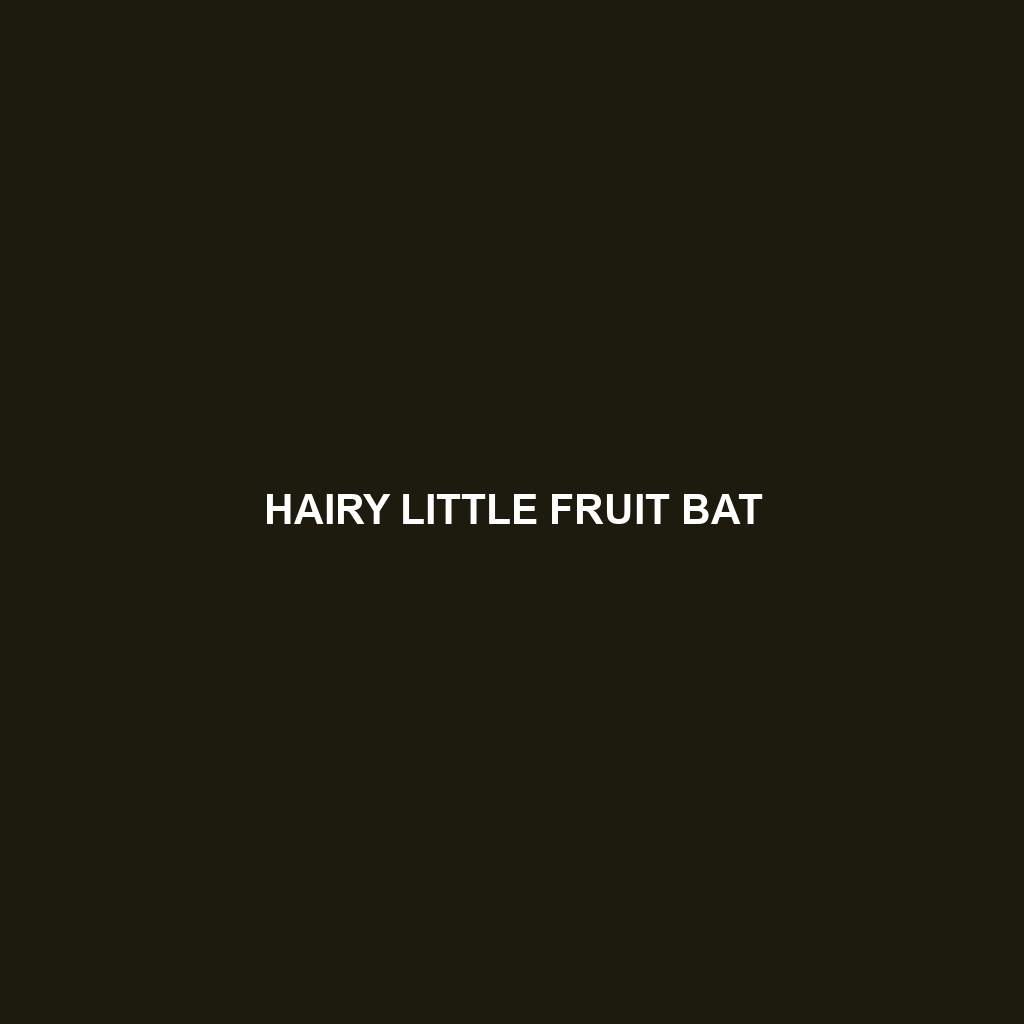 Hairy Little Fruit Bat