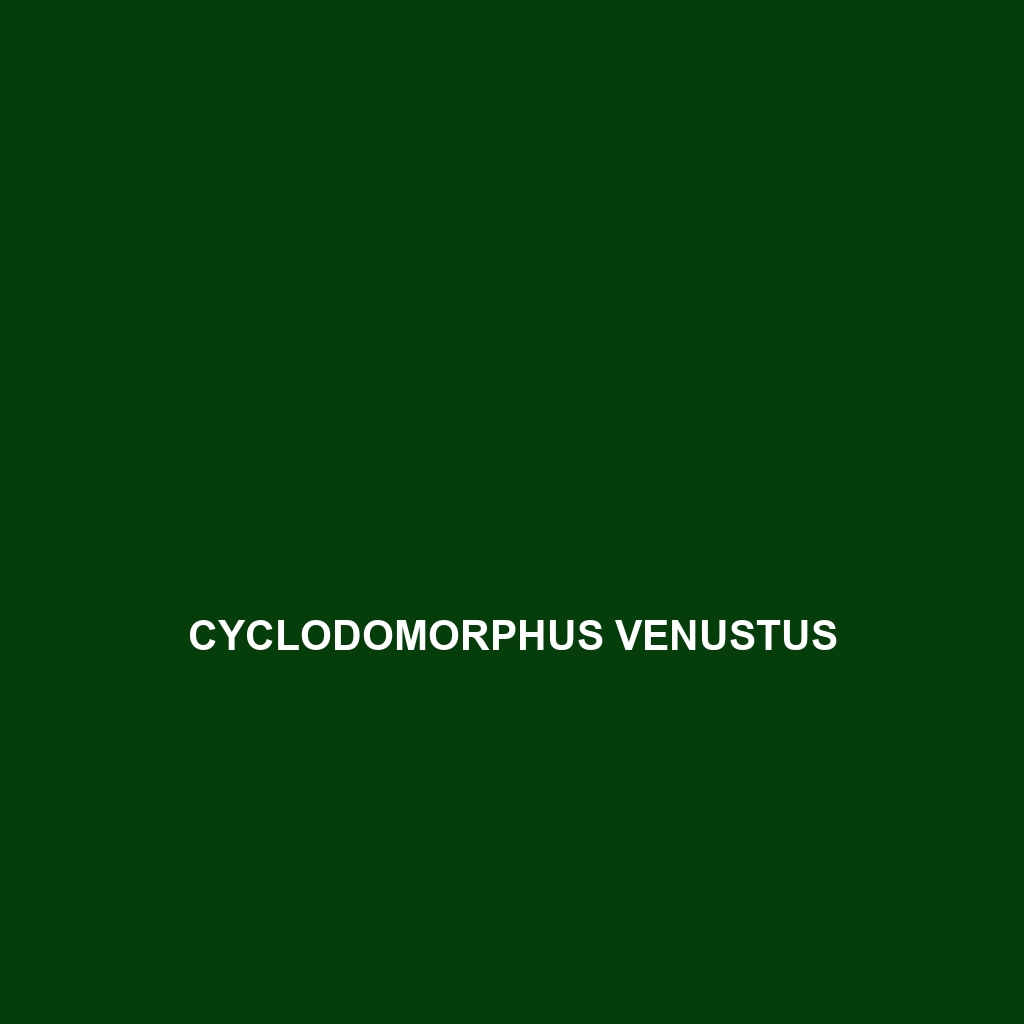 Cyclodomorphus venustus