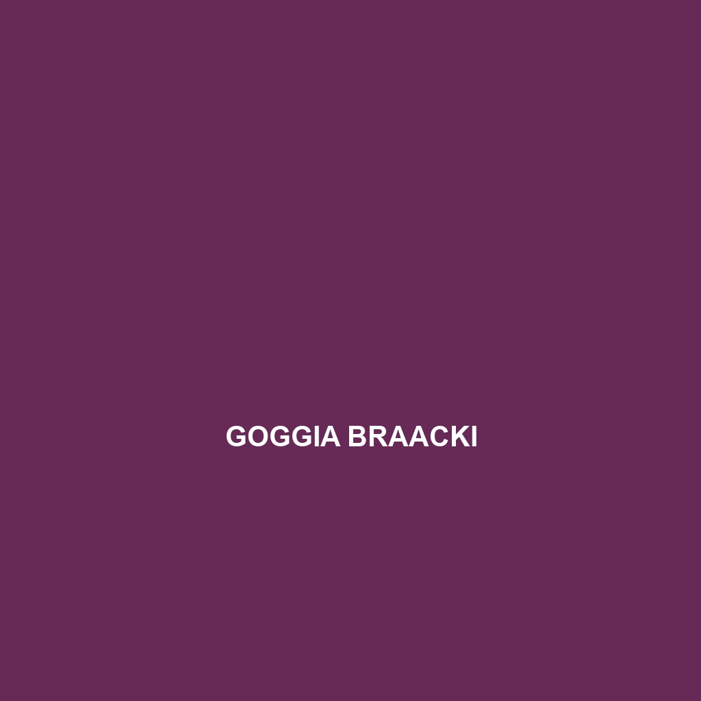 Goggia braacki