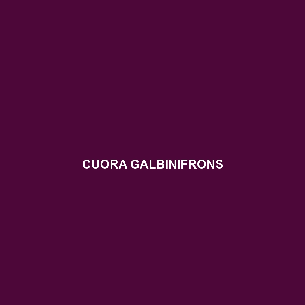 Cuora galbinifrons