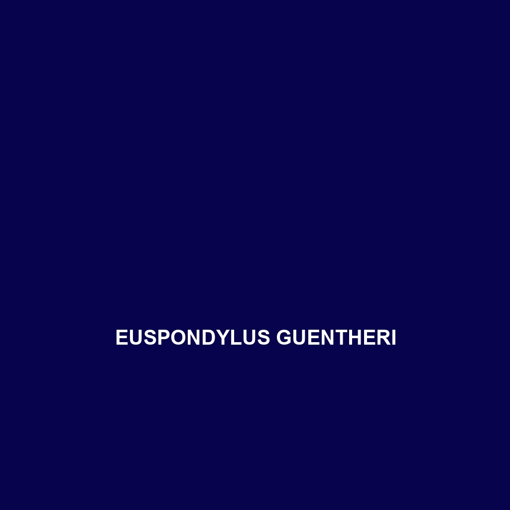 Euspondylus guentheri