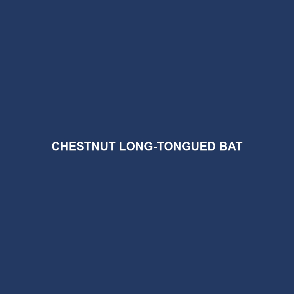 Chestnut Long-tongued Bat