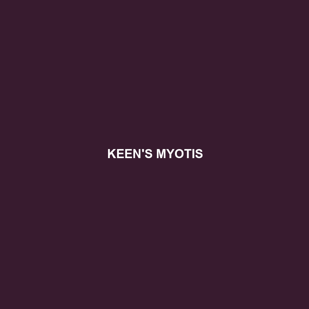 Keen's Myotis