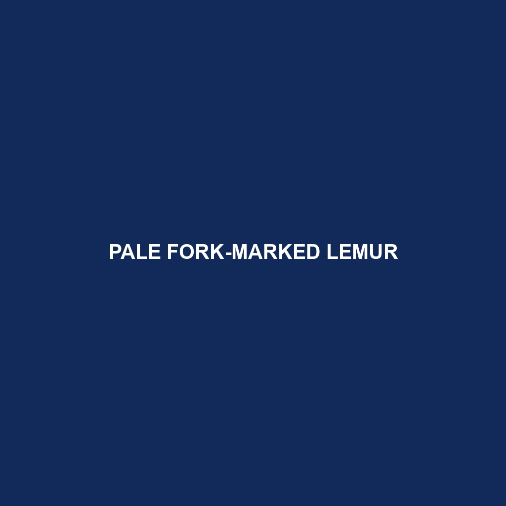 Pale Fork-marked Lemur