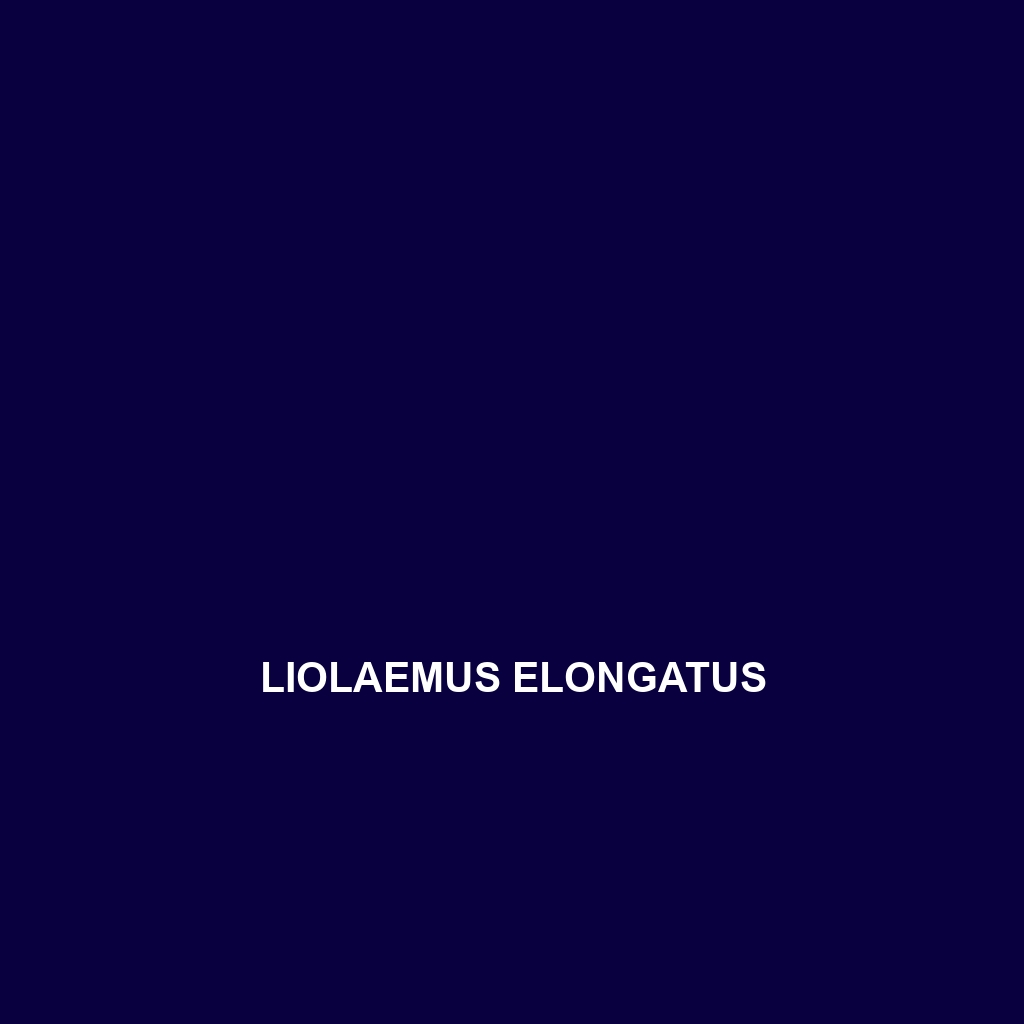 Liolaemus elongatus