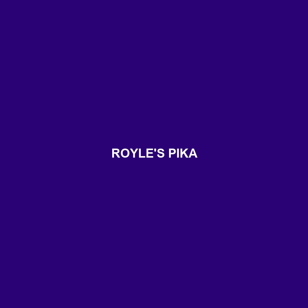 Royle's Pika