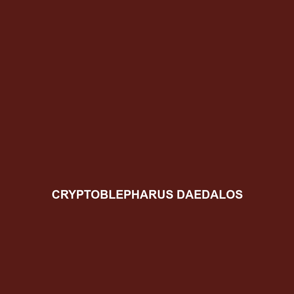 Cryptoblepharus daedalos