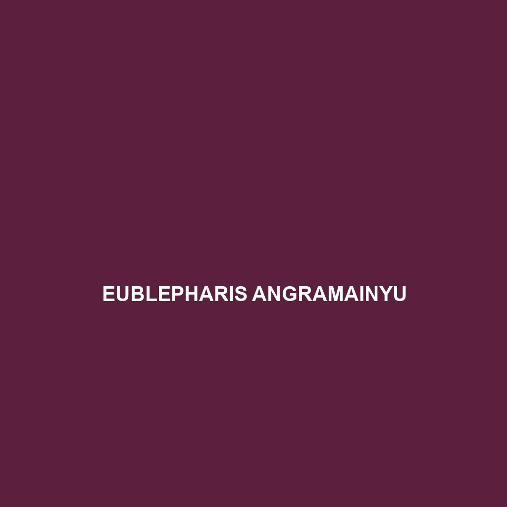 Eublepharis angramainyu