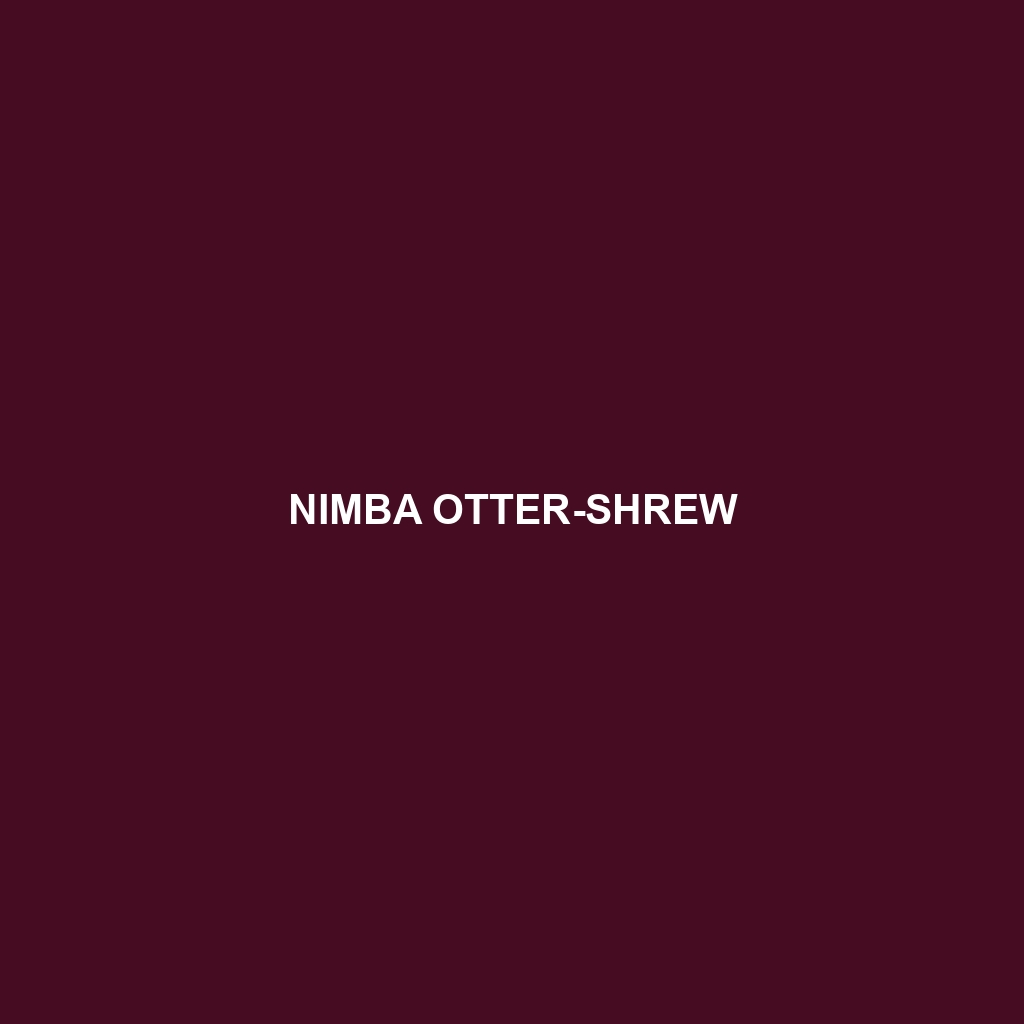 Nimba Otter-shrew