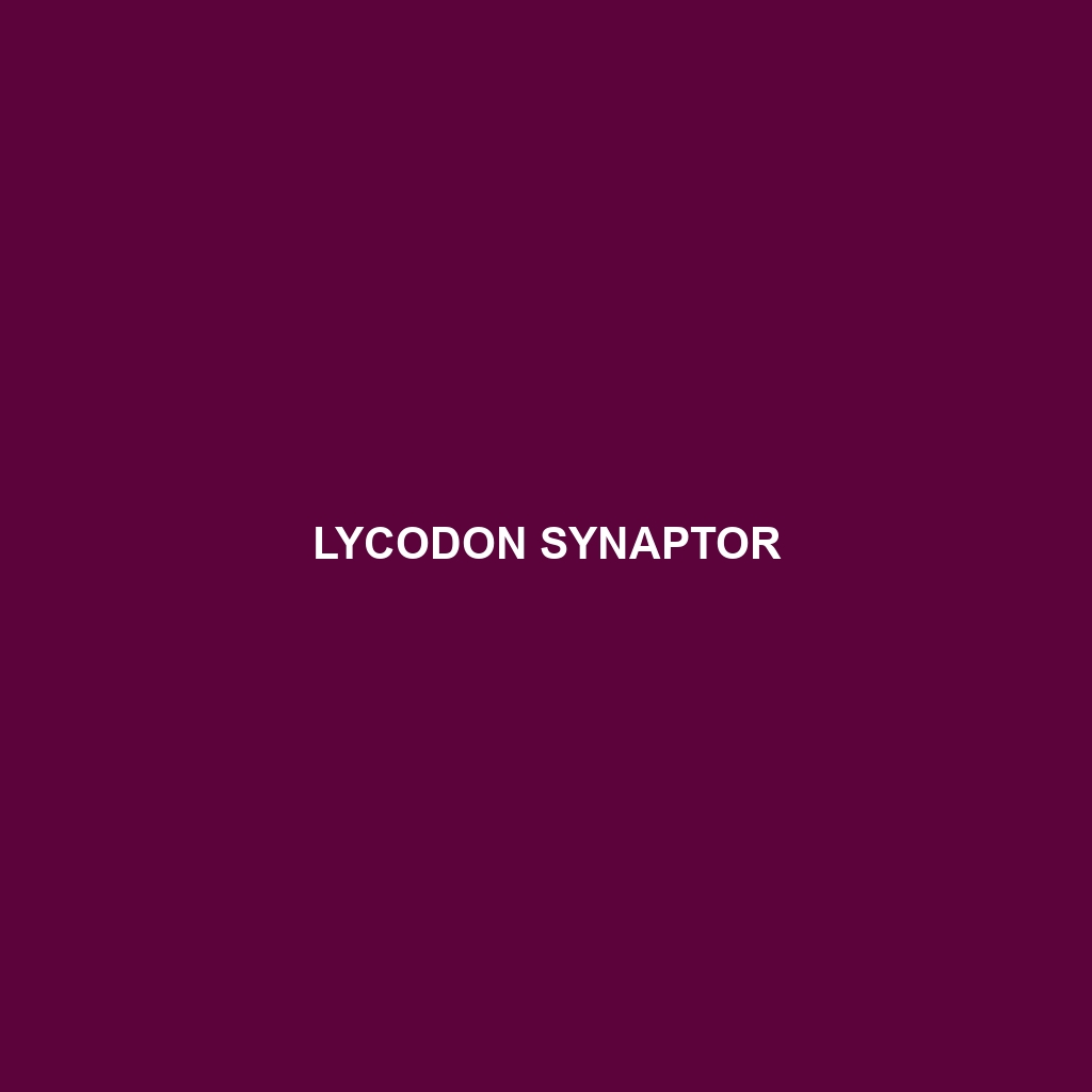 Lycodon synaptor