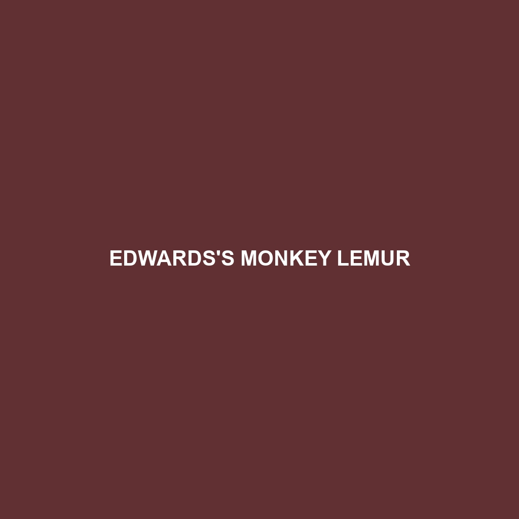 Edwards's Monkey Lemur