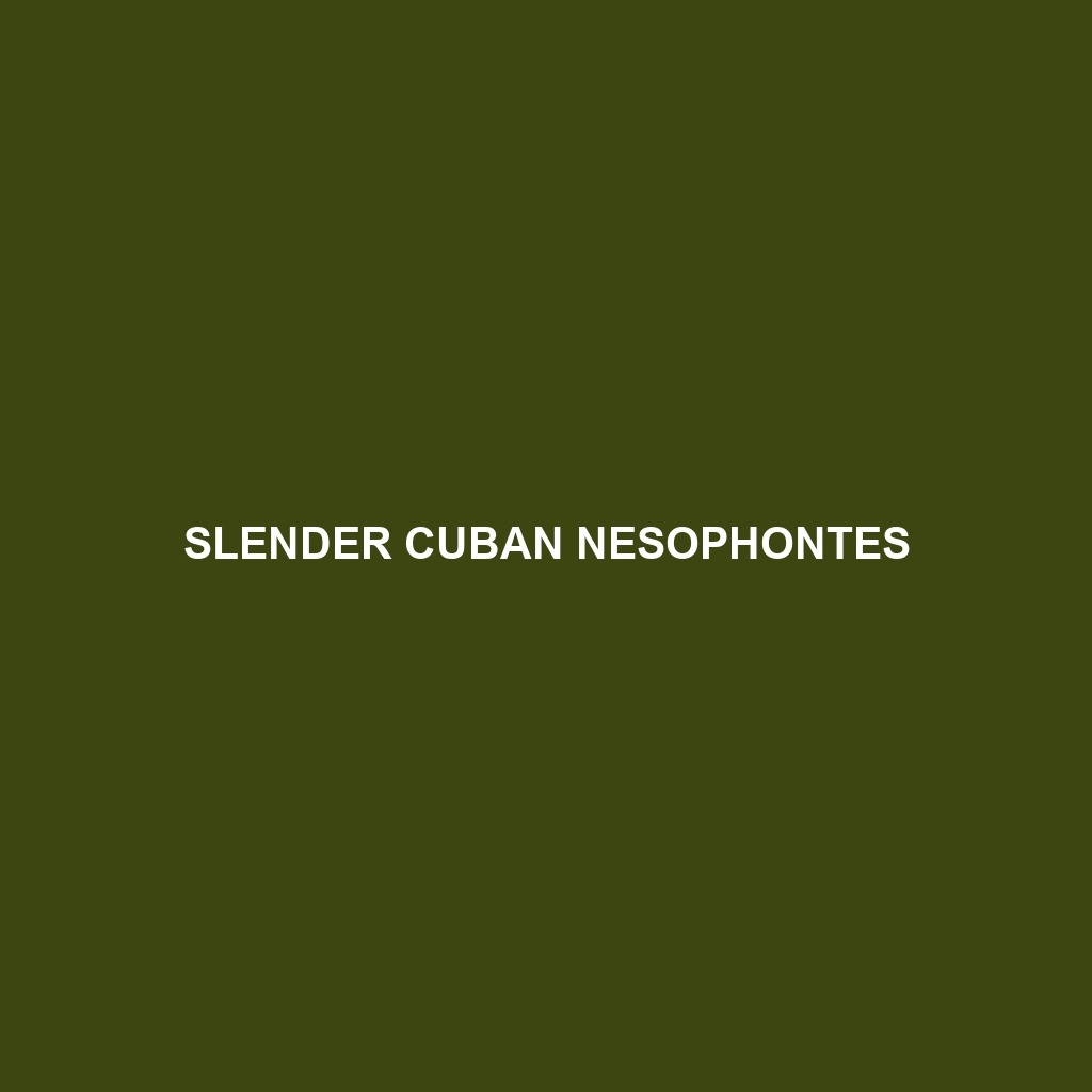 Slender Cuban Nesophontes