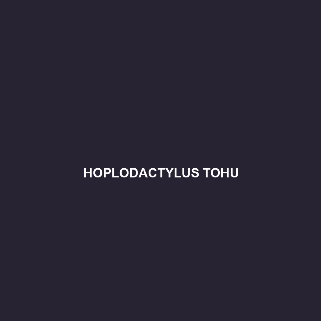 Hoplodactylus tohu