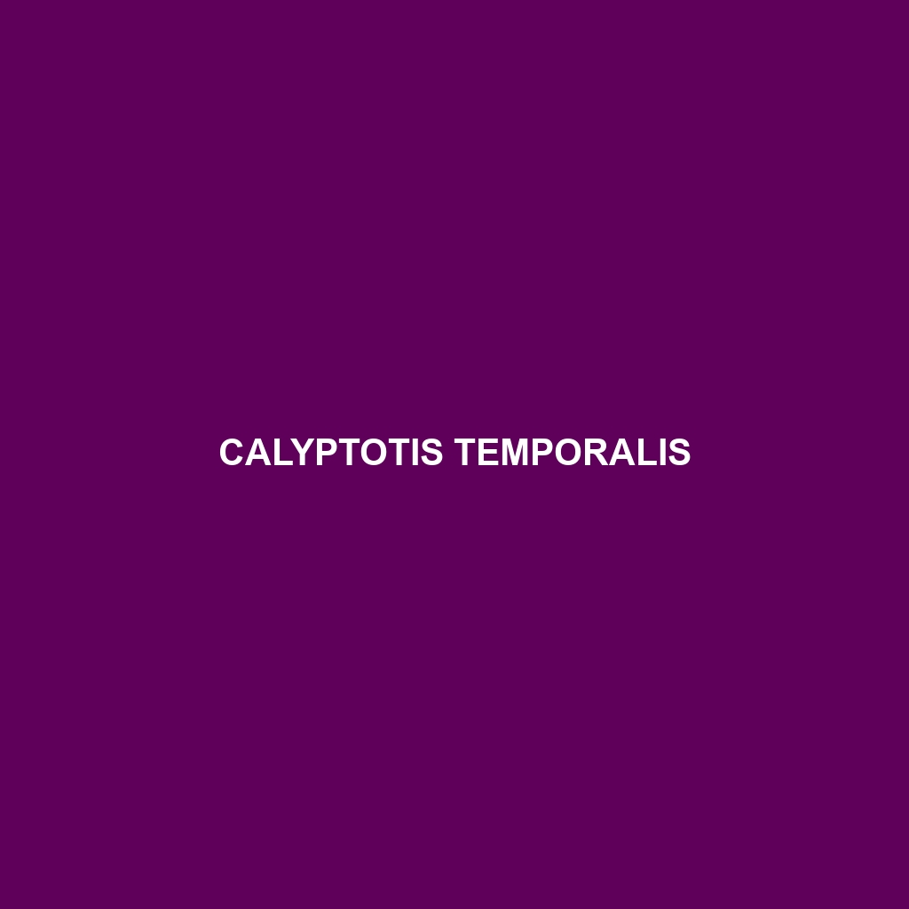 Calyptotis temporalis