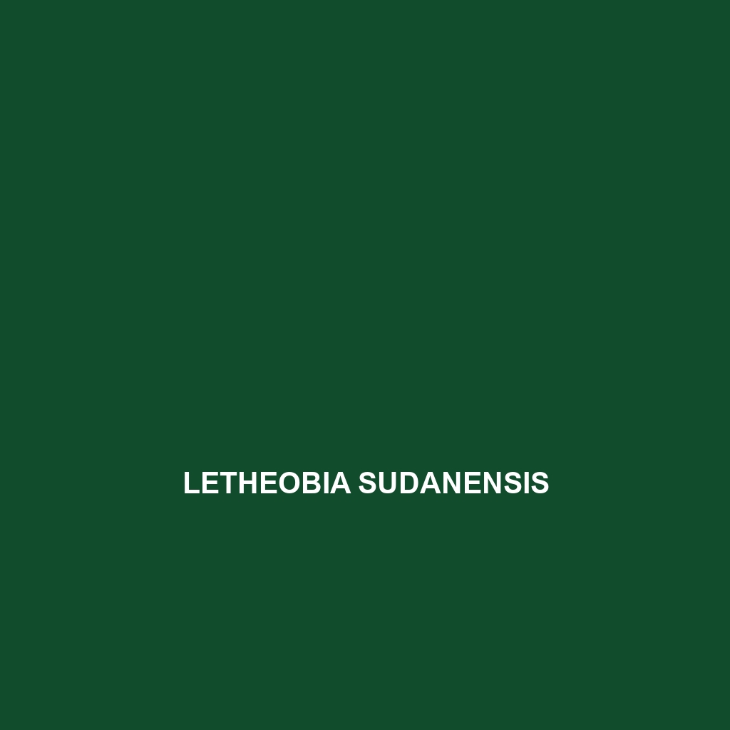 Letheobia sudanensis