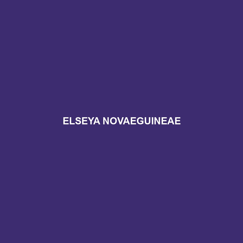 Elseya novaeguineae