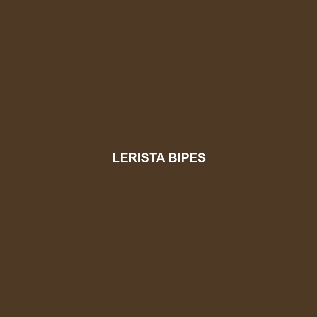 Lerista bipes