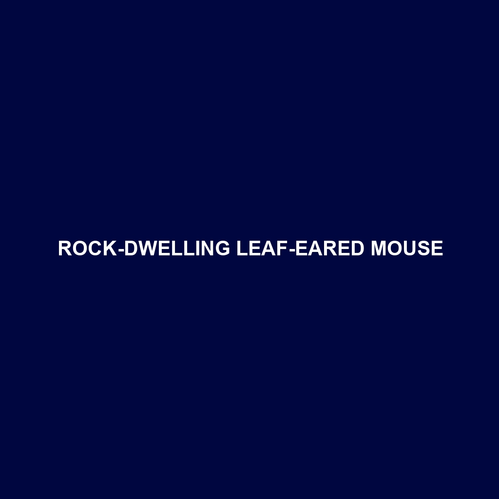 Rock-dwelling Leaf-eared Mouse