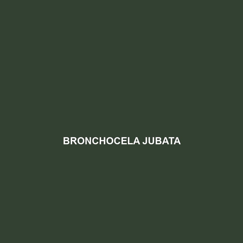 Bronchocela jubata