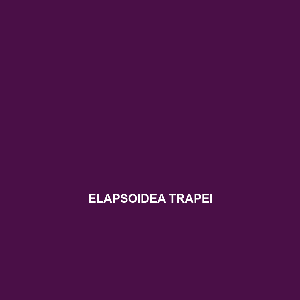 Elapsoidea trapei