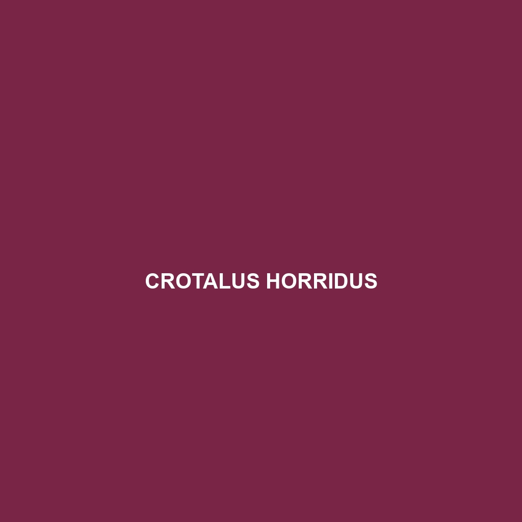 Crotalus horridus